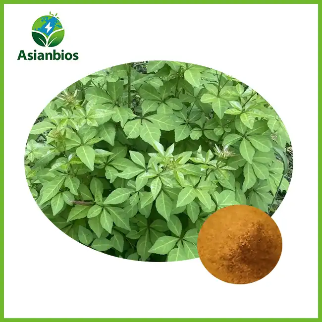 Acanthopanax Bark Extract